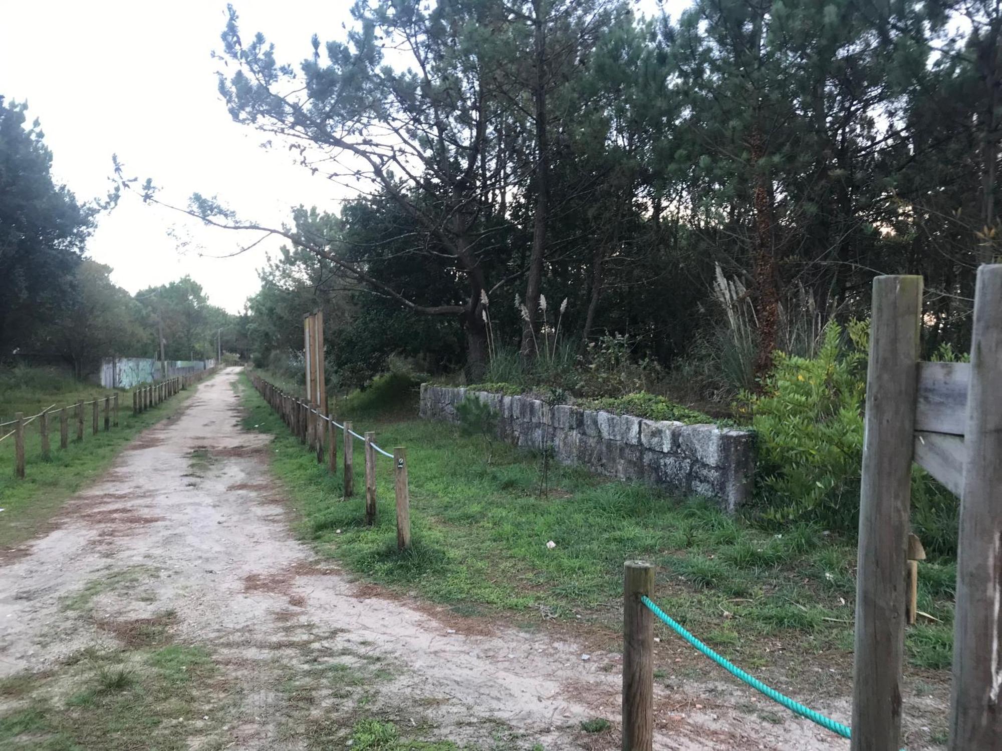 Arvore Cozy Com Jardim 外观 照片