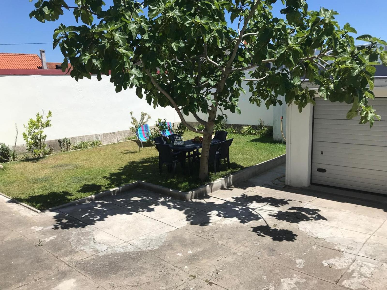 Arvore Cozy Com Jardim 外观 照片